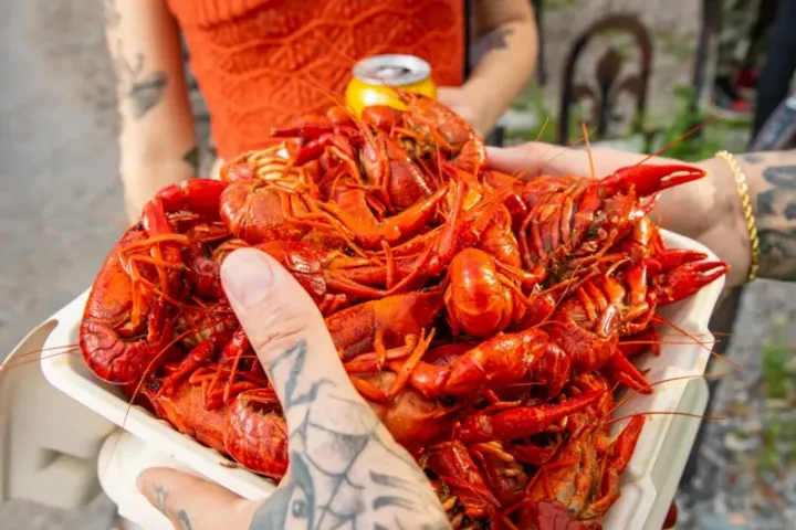 0D277F5E-A29B-4B20-BDAC-C59D7AC1283F-scaled